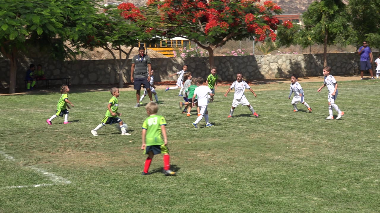 Children in green and white soccer uniforms spread across a grass field.
