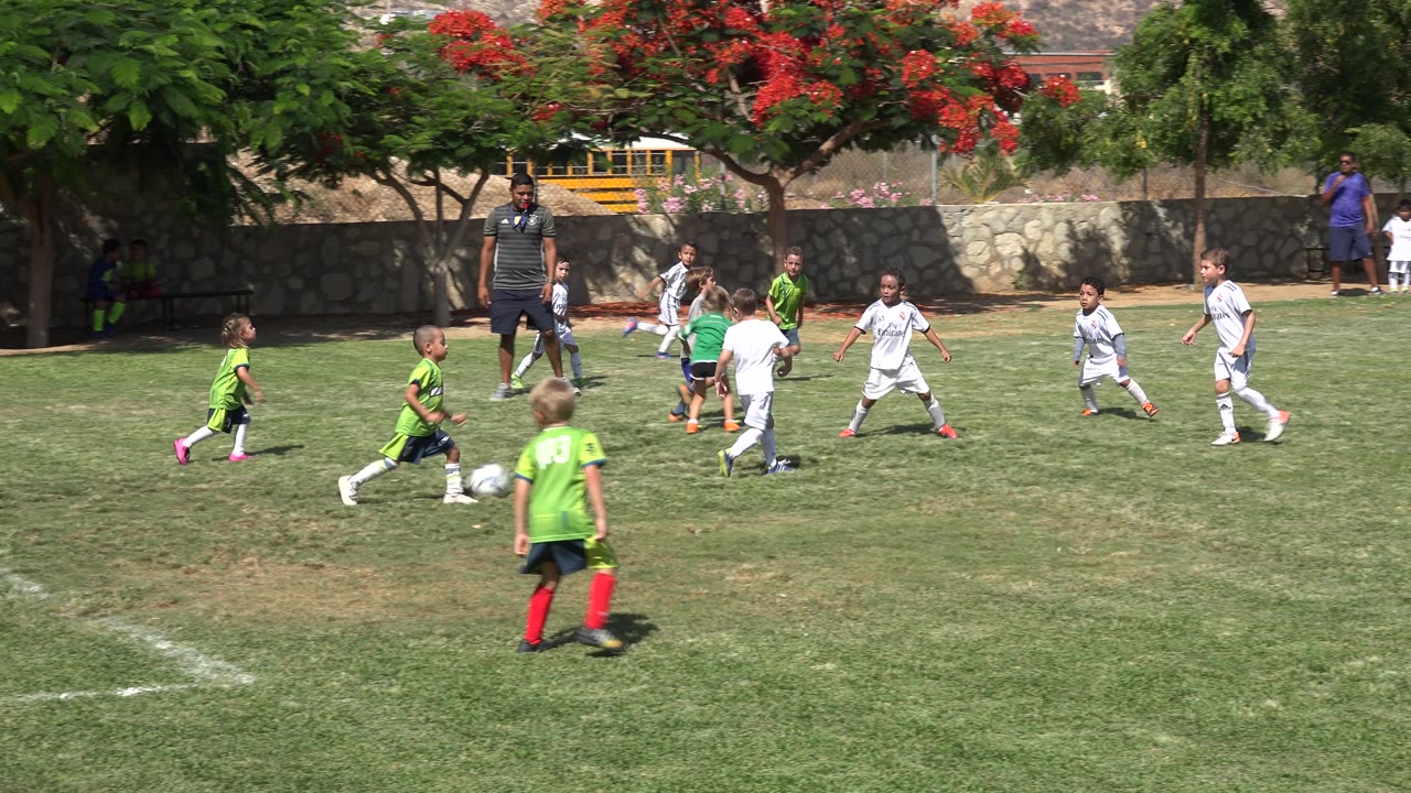 Young players in green and white uniforms move toward the soccer ball on the grass field in San Jose Del Cabo, Mexico, while an adult stands near the trees.
