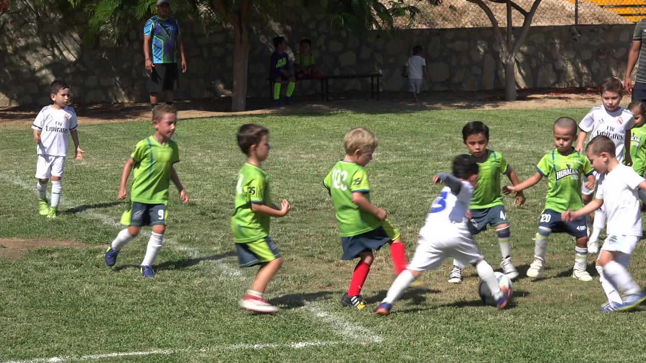 Children in green and white soccer uniforms cluster around the ball on a grass field.