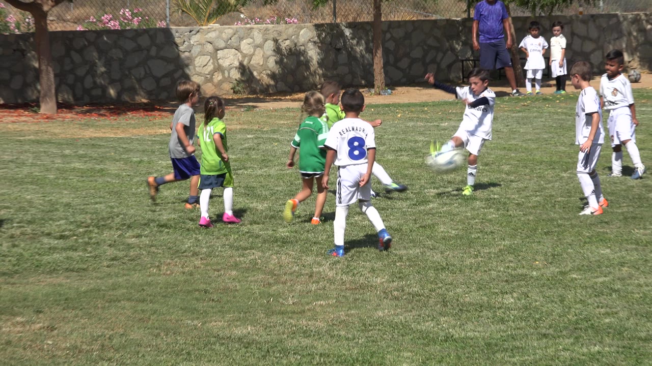 Children in green and white soccer uniforms gather around a ball on a grass field.