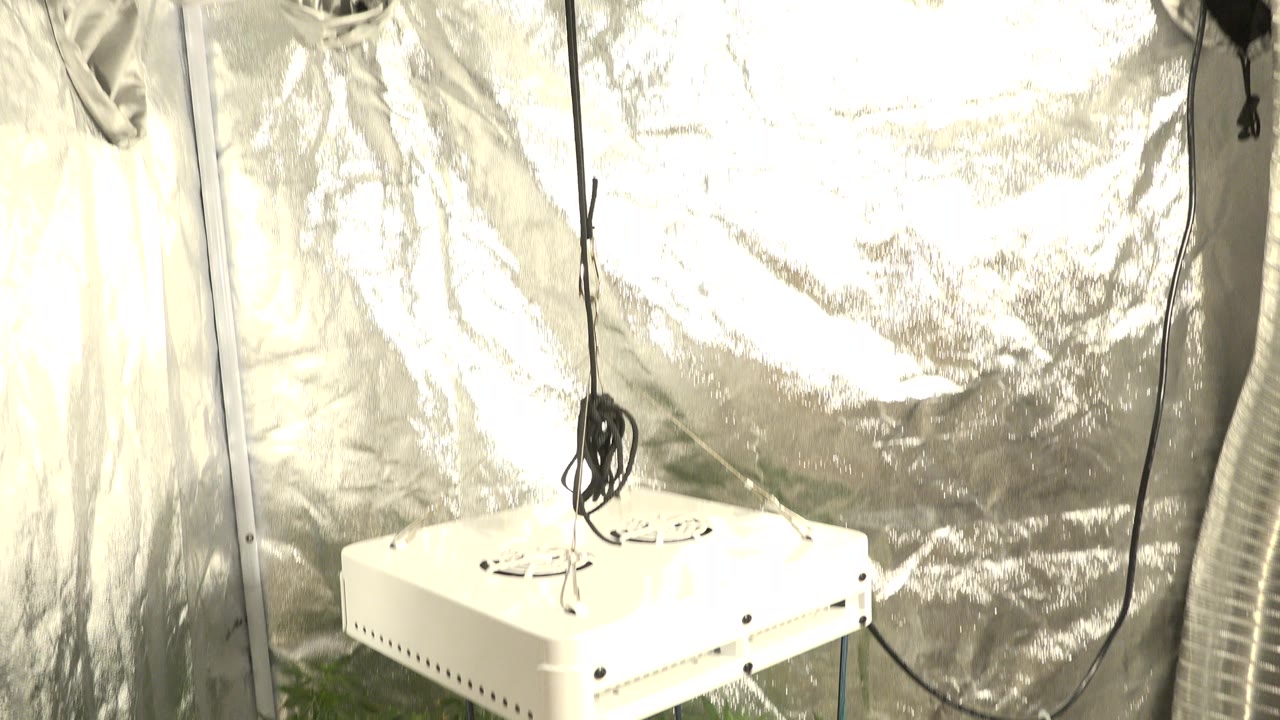 The suspended white unit remains centered low in frame inside the silver-lined Westminster, Colorado enclosure, with a black cable hanging above and no visible people.