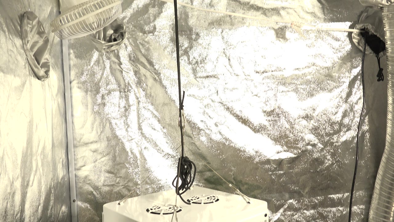 White equipment near the lower edge with reflective tent wall behind.