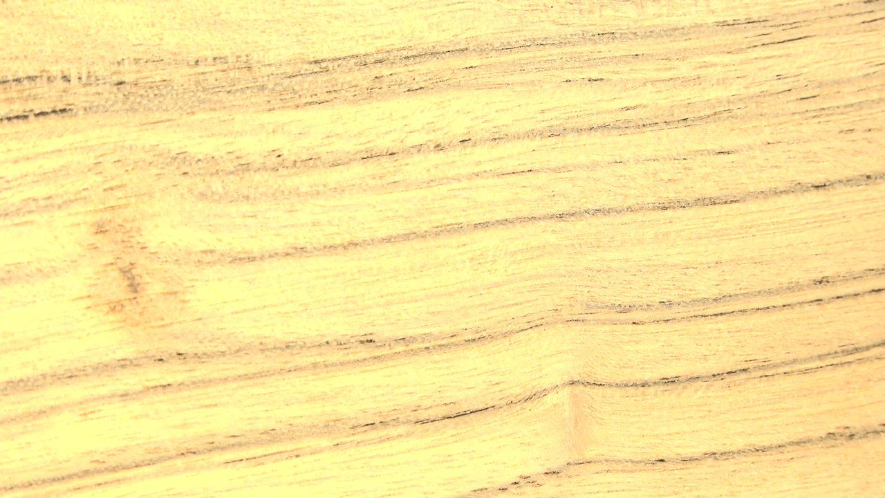 Bright tan surface with thin dark contour lines across the frame.