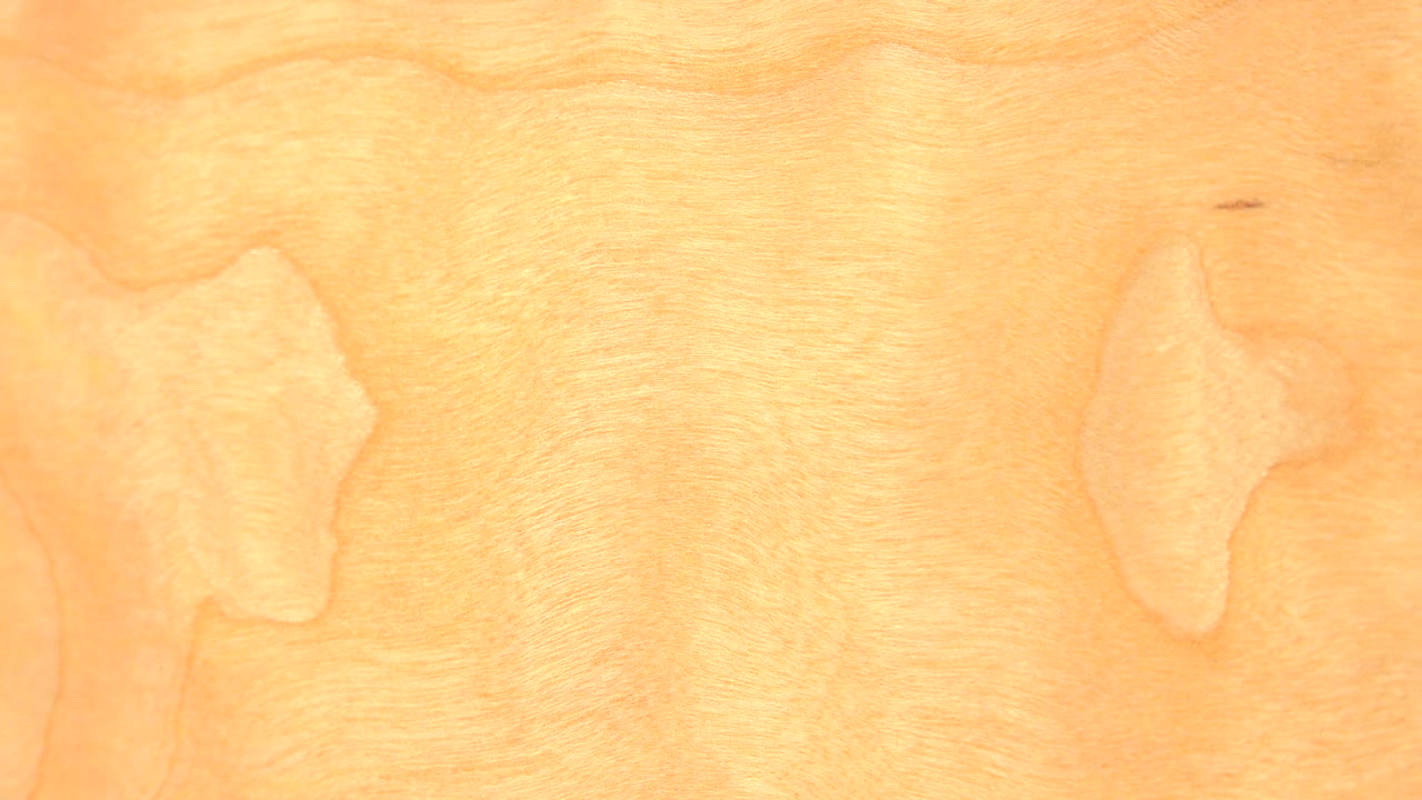 A close-up tan textured surface shows faint darker marks and mottled grain in Westminster, Colorado, with no visible people.