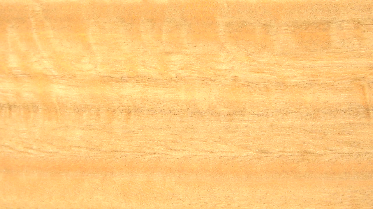 Bright close-up of polished brown wood grain with soft horizontal markings in the Westminster, Colorado footage, with no visible people.