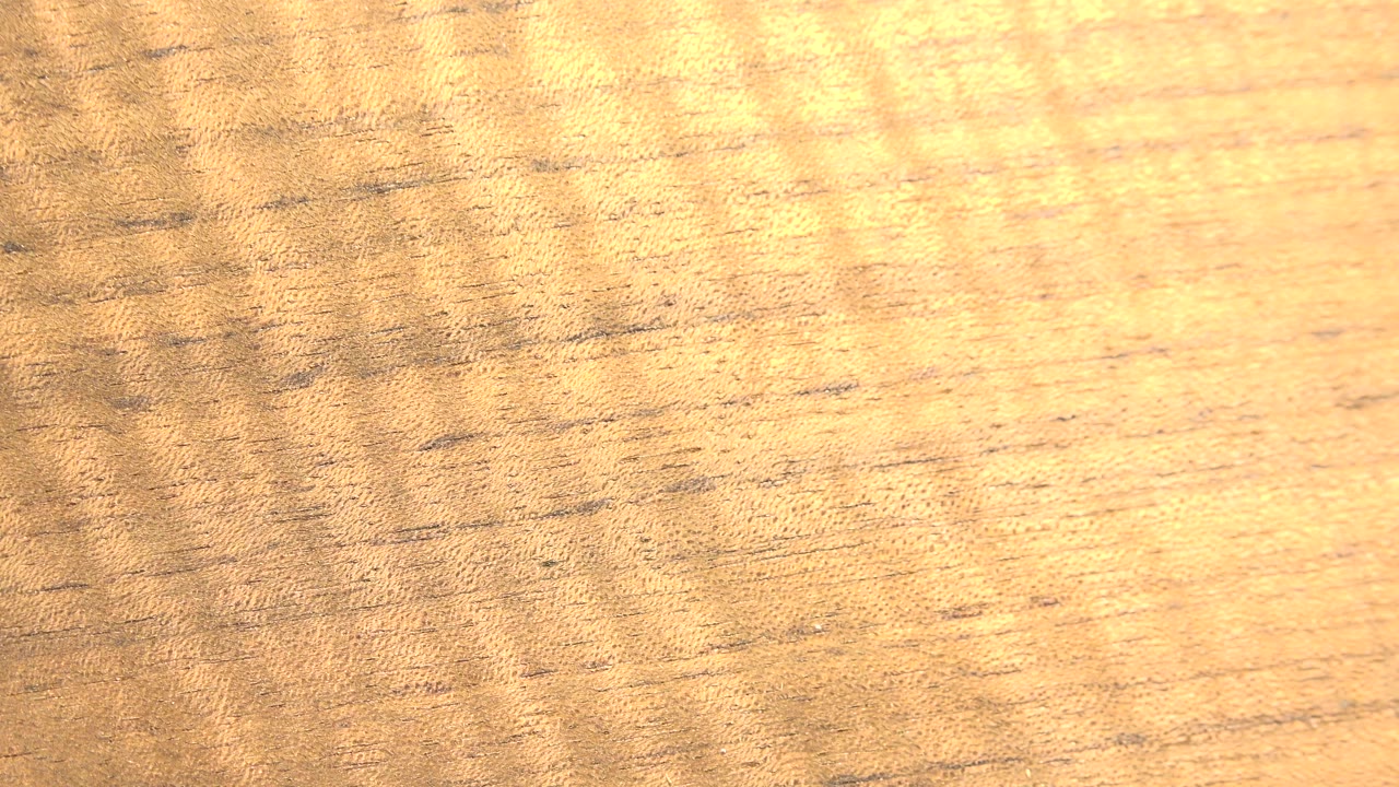 Close abstract view of tan wood grain in Westminster, Colorado footage, with warm rippled light across the surface and no visible people.