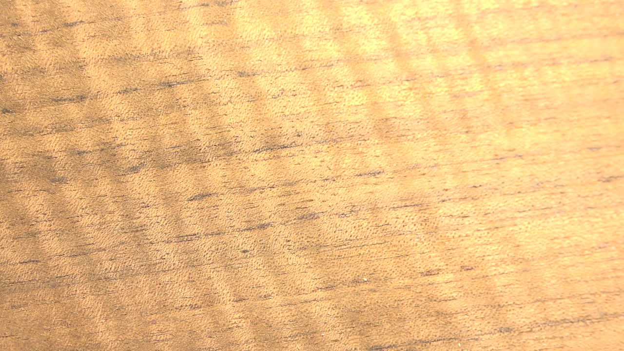 Close Westminster, Colorado frame of a bright tan wooden board, with darker grain streaks and soft wavy light, no visible people.