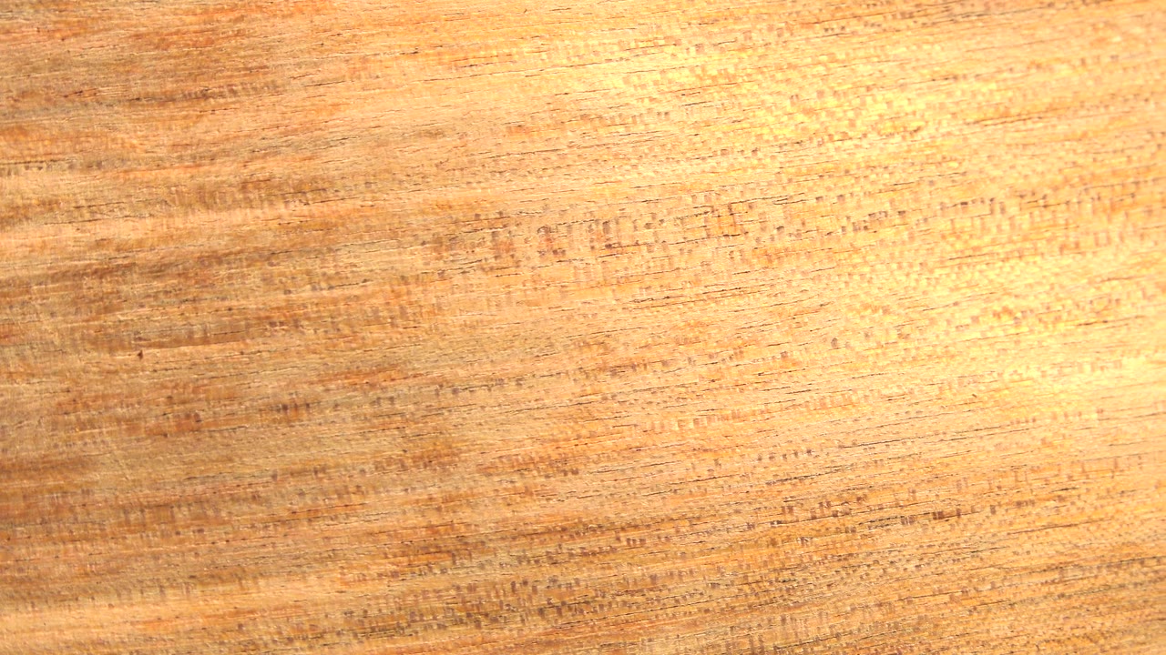 Close-up yellow-orange leaf texture from Westminster, Colorado, with fine horizontal surface lines and no visible people.