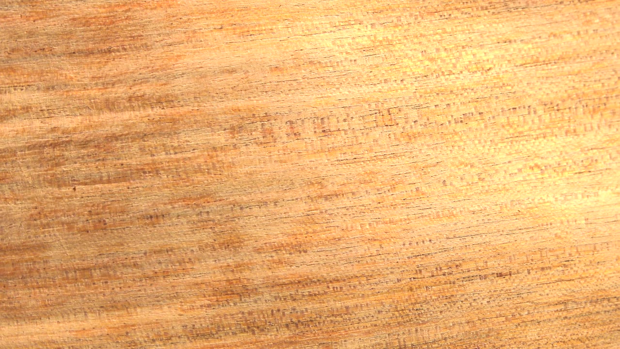 Bright close-up leaf surface in Westminster, Colorado, with yellow highlights, orange grain, and no visible people.