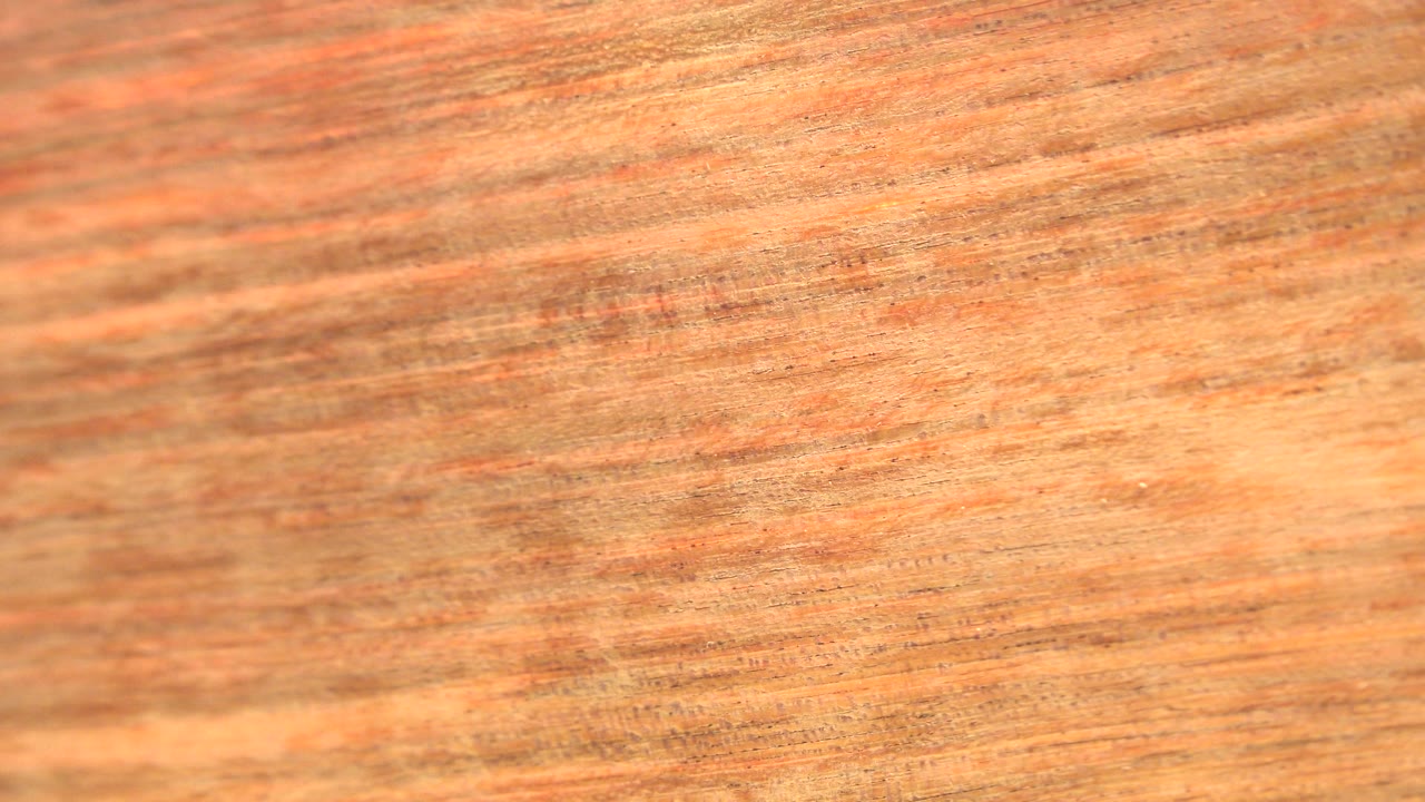 Soft orange-yellow leaf detail from Westminster, Colorado, with streaked natural texture and no visible people.