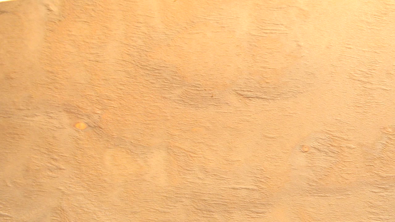 Close view of a yellow tan wood board in Westminster, Colorado, with grain and small knots visible and no visible people.