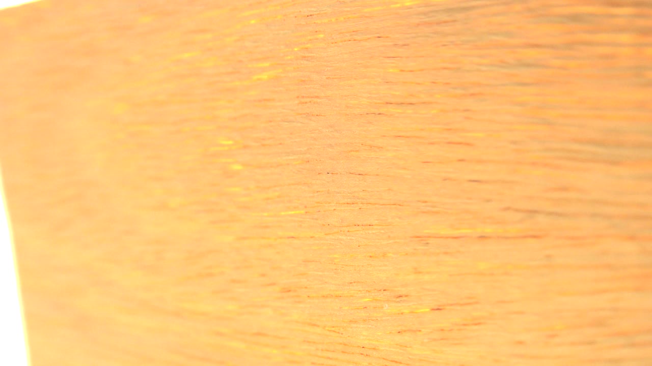 A tight Westminster, Colorado view of the gold paper grain, with a vertical white strip near the right side and no visible people.