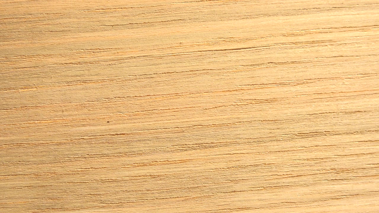 The second frame holds on a pale wood surface in Westminster, Colorado, with fine horizontal grain and slightly brighter illumination than the first frame, with no visible people.