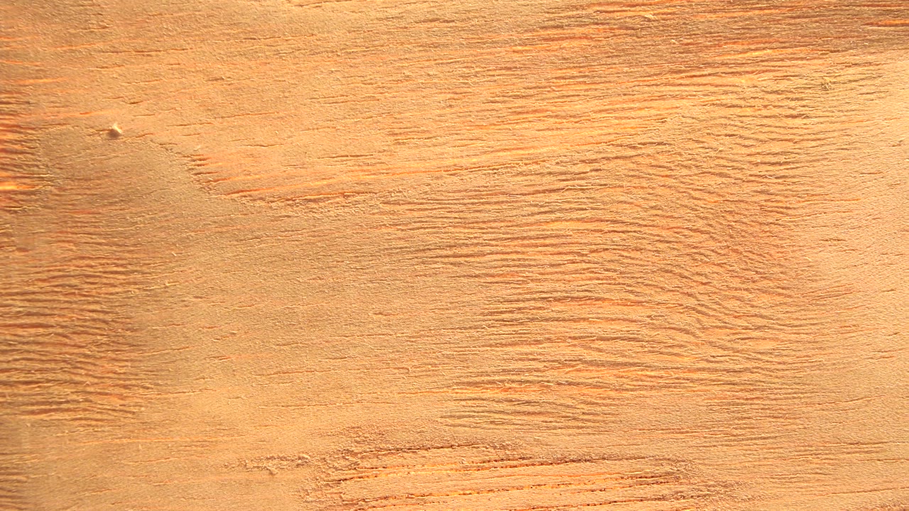 Warm orange textured surface filling the frame.