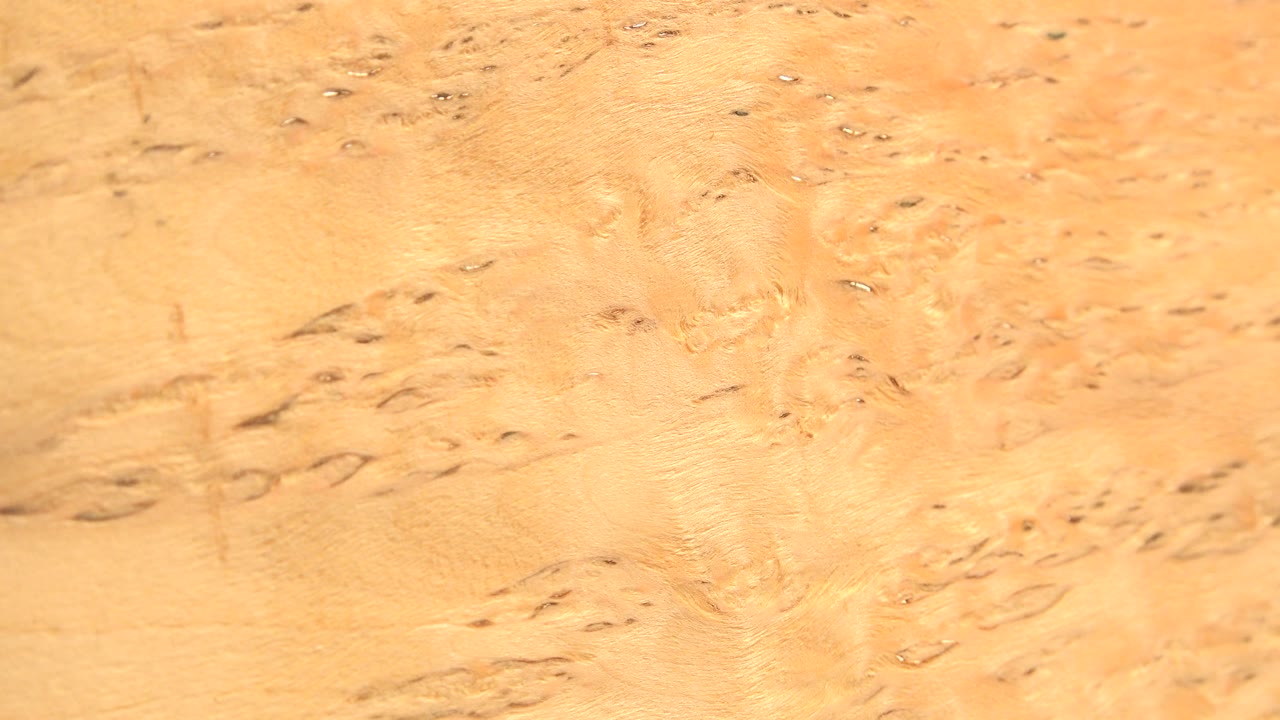 A similar close-up moment shows the yellow surface softer and brighter, with scattered spots and no visible people in the Westminster, Colorado clip.