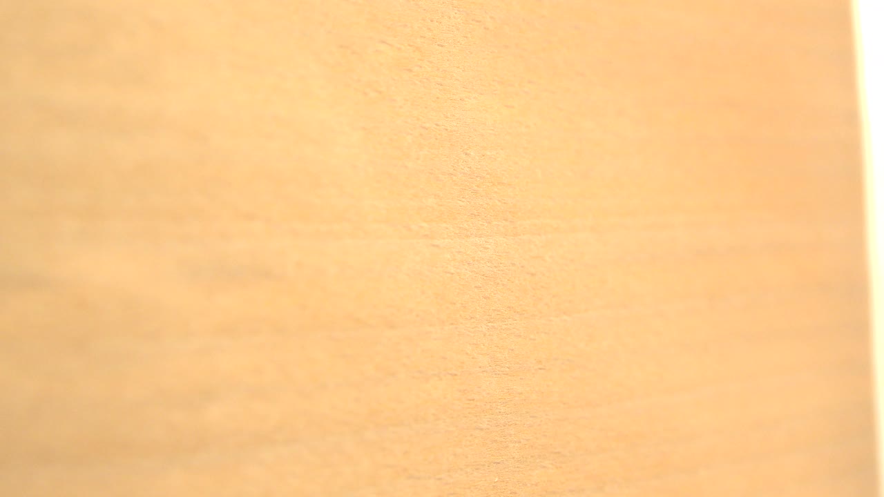 Close view of a pale wood-patterned sheet in Westminster, Colorado footage, with soft grain texture and a bright vertical edge on the right, no visible people.
