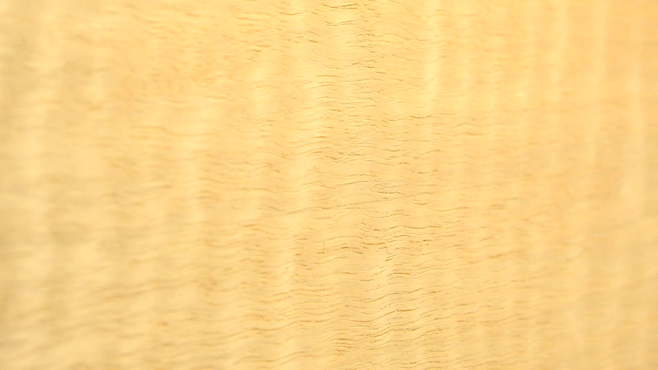 A pale brown section of wood grain appears in bright light in Westminster, Colorado, with no visible people.