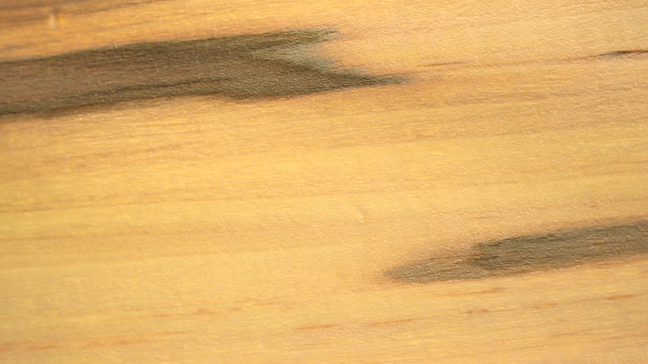 A warm, close view of pale wood grain with two dark gray streaks across the surface in Westminster, Colorado, with no visible people.