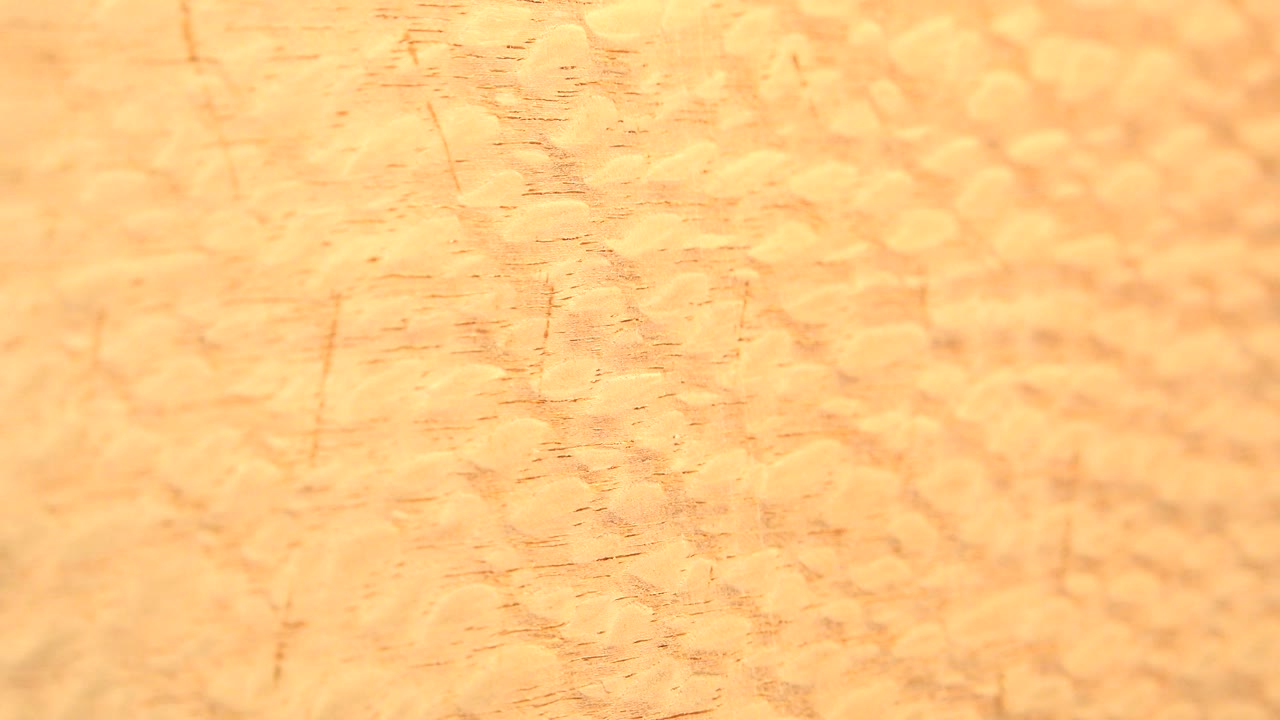 Close view of a warm yellow wood surface in Westminster, Colorado, with fine scratches, shallow texture, and no visible people.