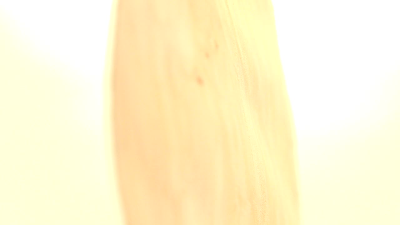 Narrow gold coin edge against a bright white background.