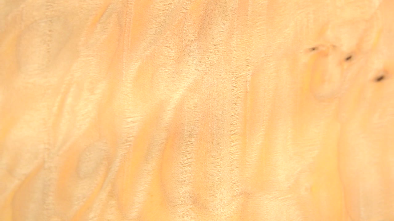 Close-up frame of the Westminster, Colorado plaster sample with pale tan and orange streaks running vertically across the surface, with no visible people.