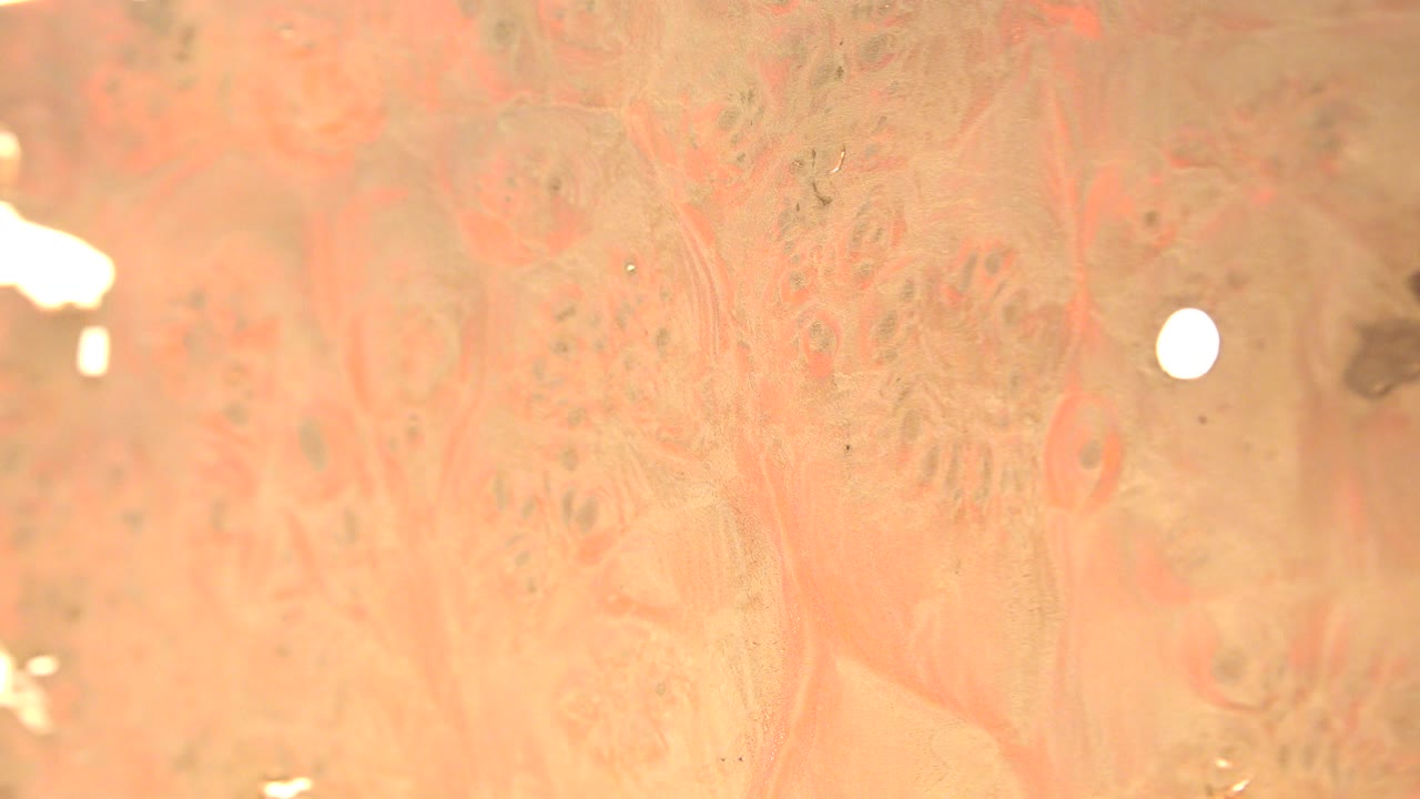 Warm close-up of pale weathered wood grain in Westminster, Colorado, with small bright reflections and no visible people.