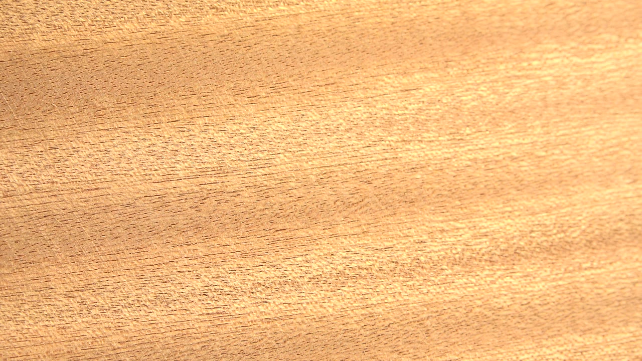The striated object surface appears softer and more blurred one second into the Westminster, Colorado exhibit clip, with no visible people.