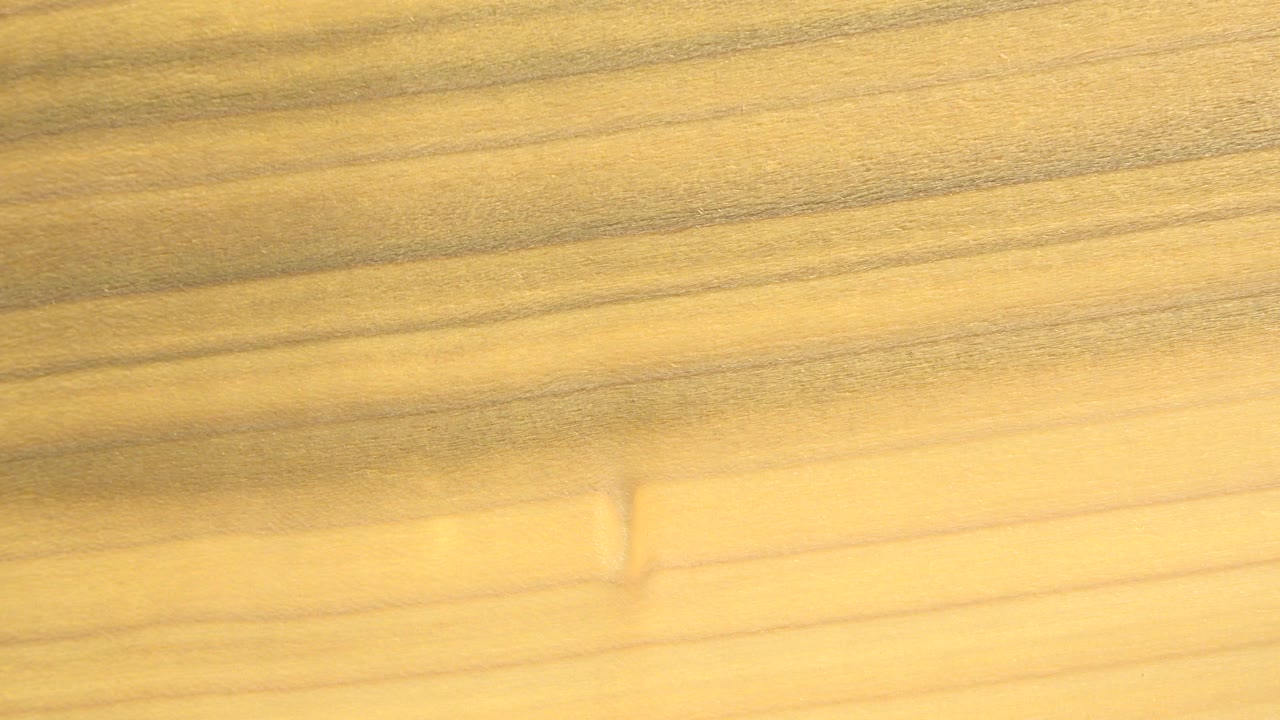 Blurred yellow and gold bands fill the frame.