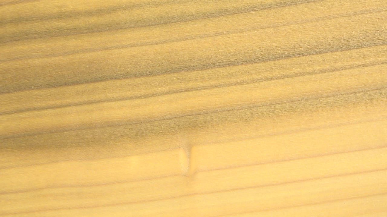 A Westminster, Colorado home-movie frame shows a glowing yellow field with soft dark streaks and a bright area near the lower right, with no visible people.