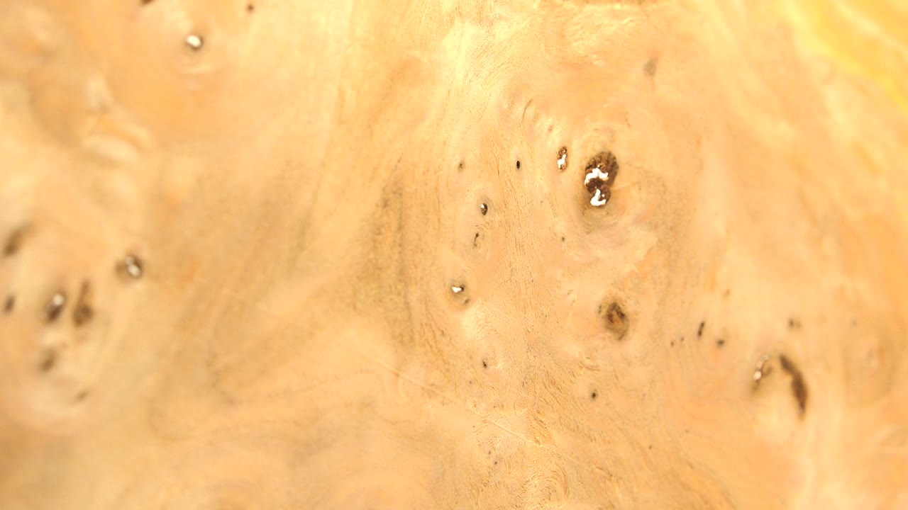Close amber wood grain with small holes and glossy pits.