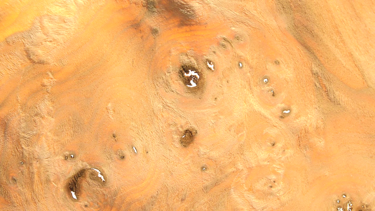Close-up of orange wood grain with dark knots and glossy highlights.