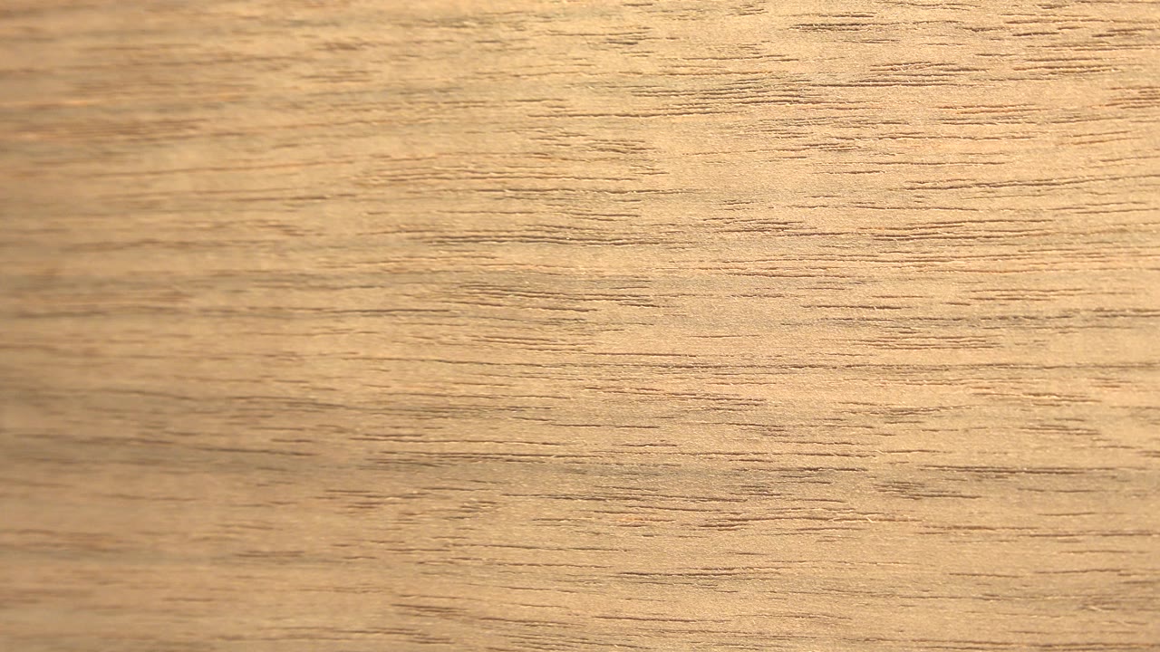 Brightly lit plywood surface appears beside a vertical white band in Westminster, Colorado footage, with no visible people.