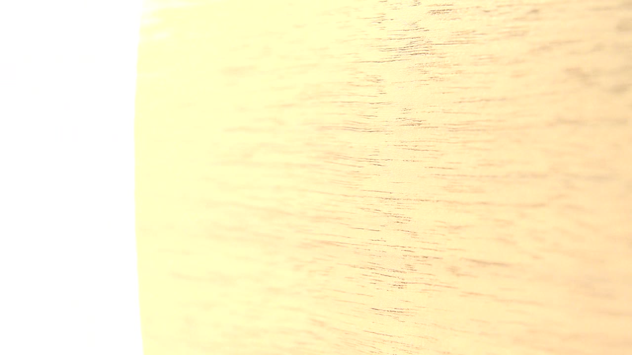 Soft plywood edge against white background