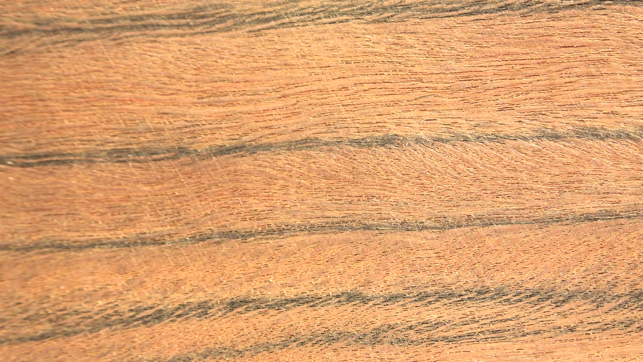 Warm organic material with darker banding near the upper area.