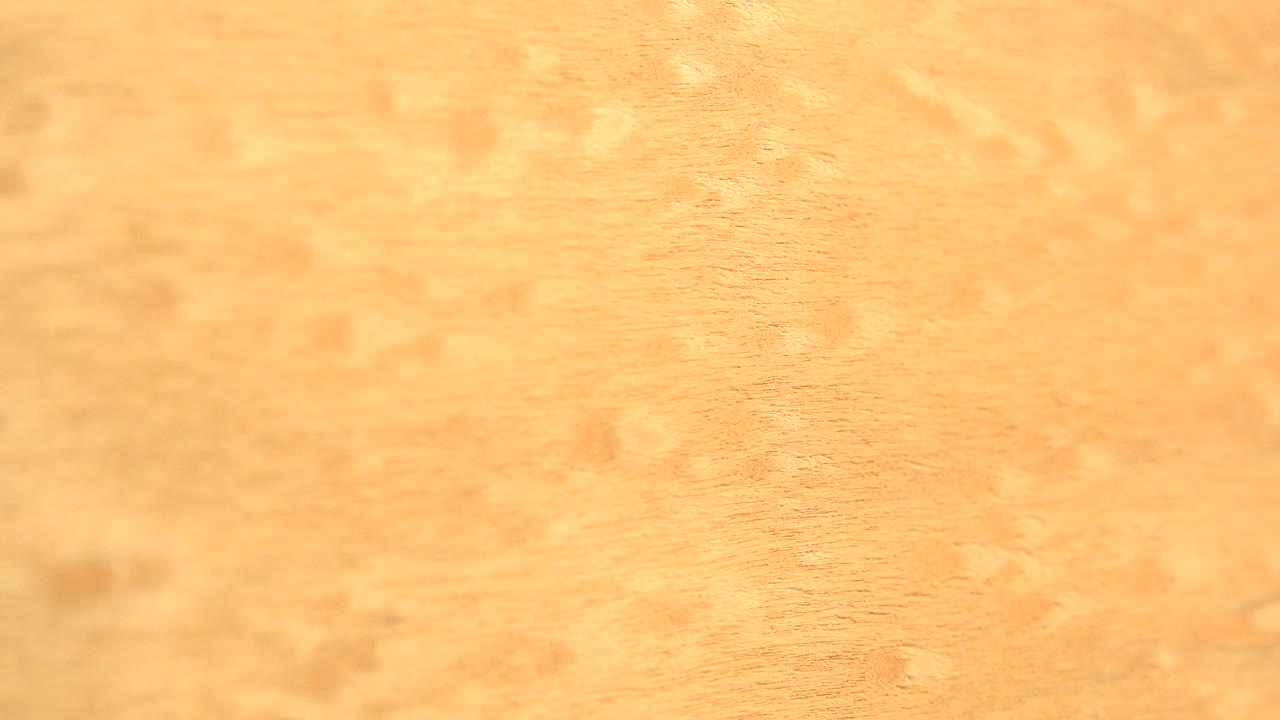 A slightly different orange abstract surface view shows darker speckles and soft focus in the Westminster, Colorado clip, with no visible people.