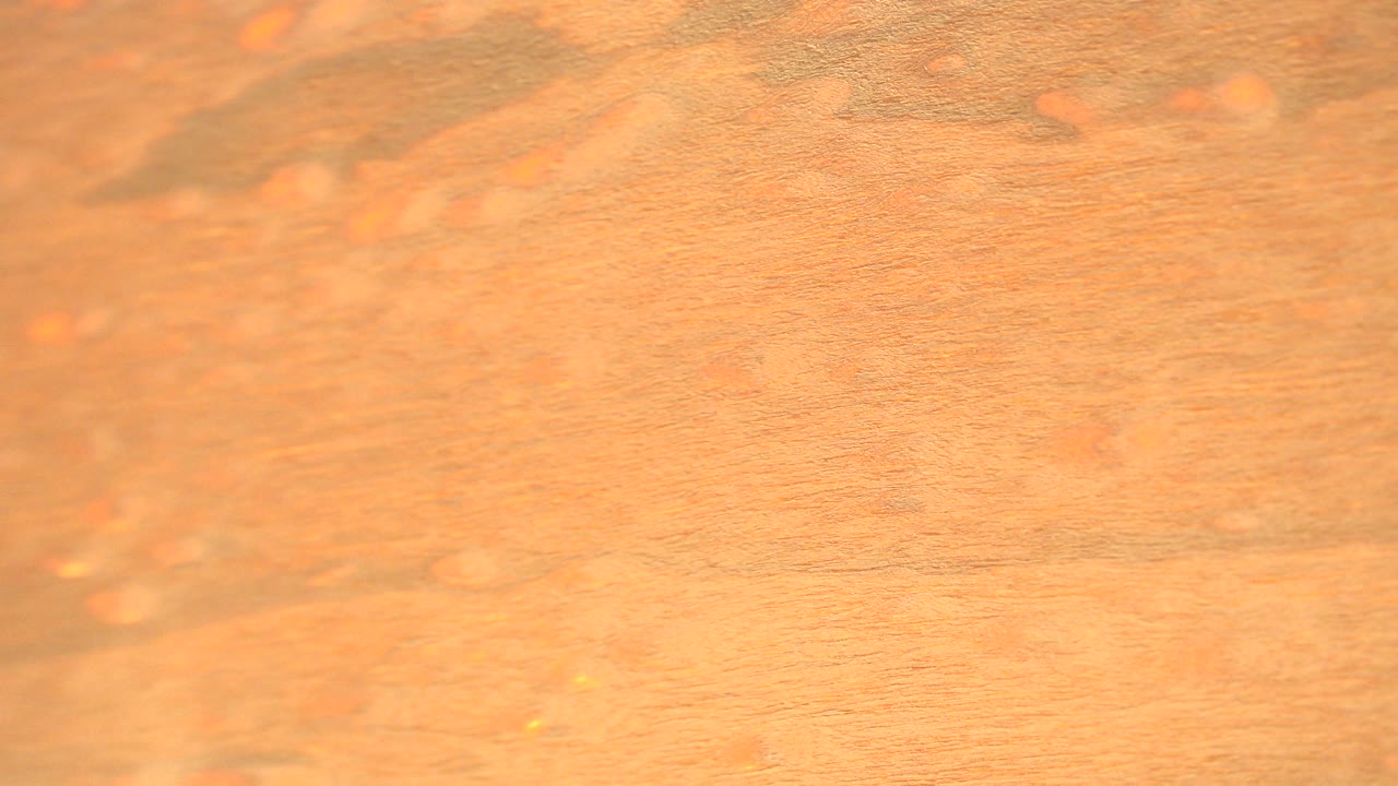 Close abstract view of orange wood grain and soft highlights from a Westminster, Colorado 2015 clip, with no visible people.