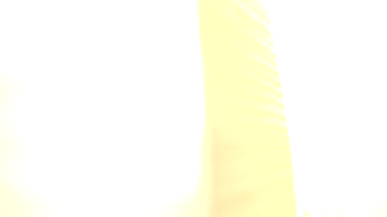 A bright close-up from the Westminster, Colorado footage shows pale yellow vertical wood edges surrounded by white overexposure, with no visible people.