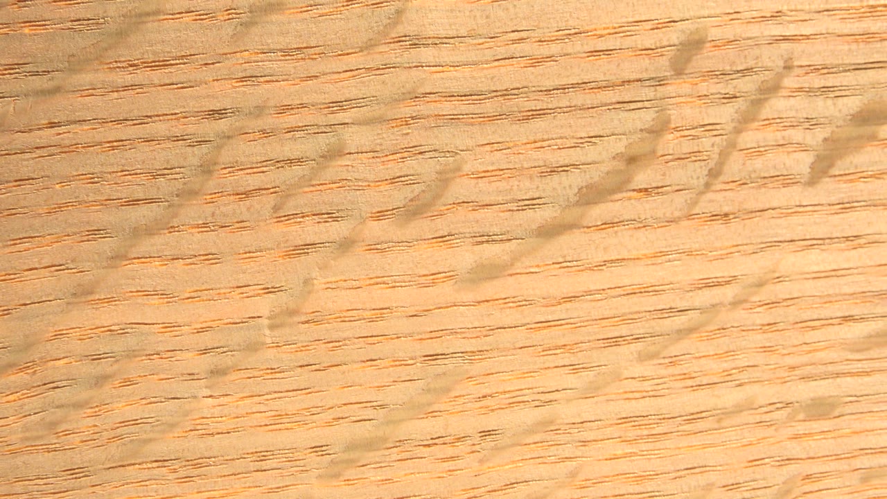 Warm close-up of a tan fibrous paper-like surface in Westminster, Colorado, with scattered dark line marks and no visible people.