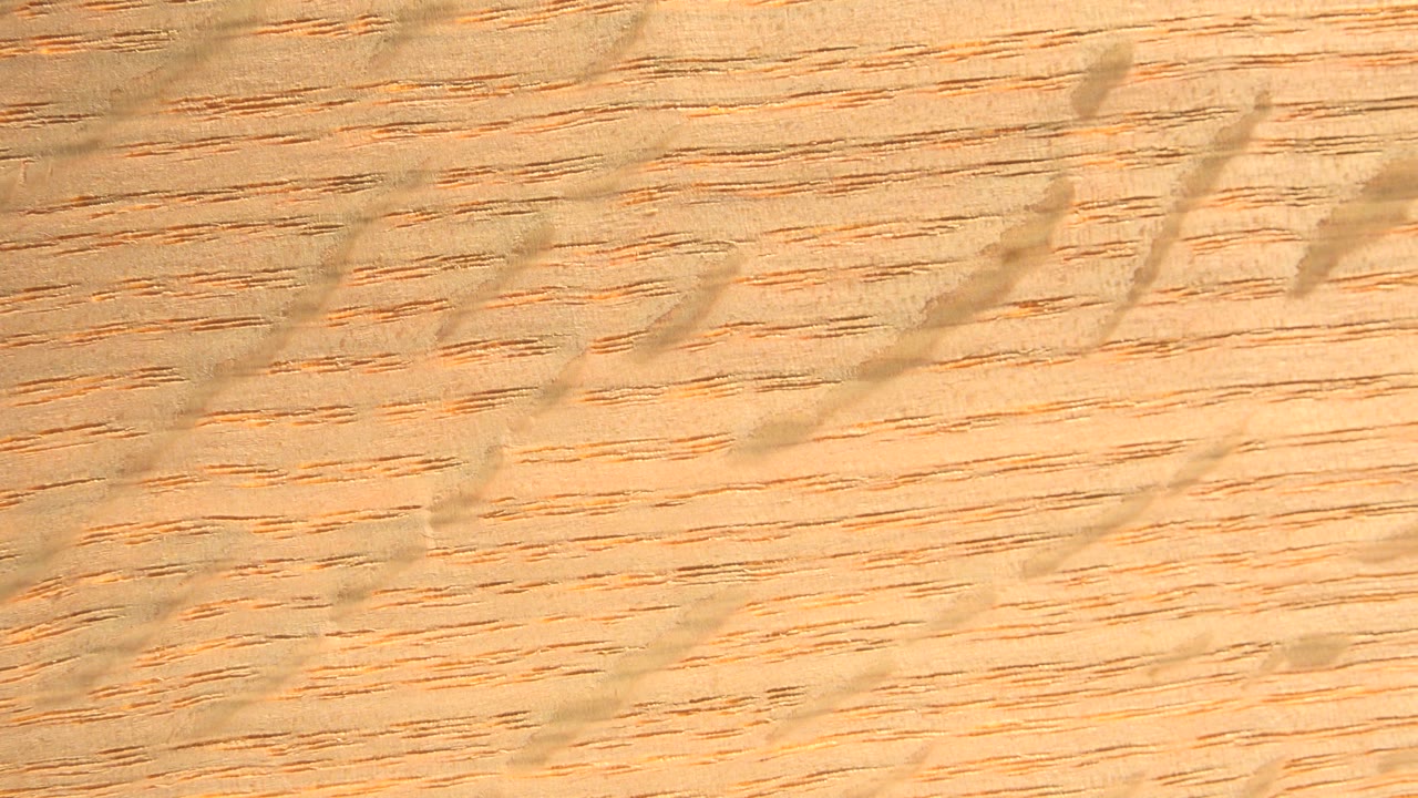 Soft-focus tan textured surface in Westminster, Colorado, with shallow detail, warm highlights, and no visible people.