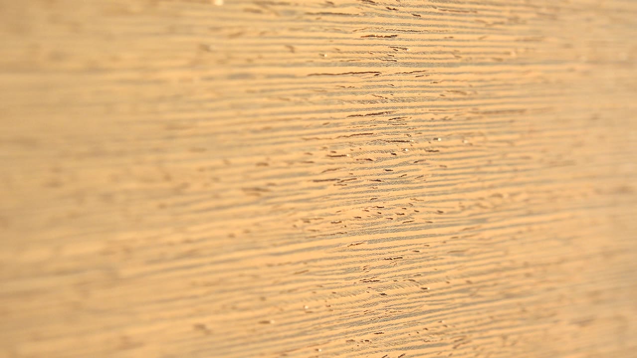 Wide close-up of yellow grain texture under warm light.