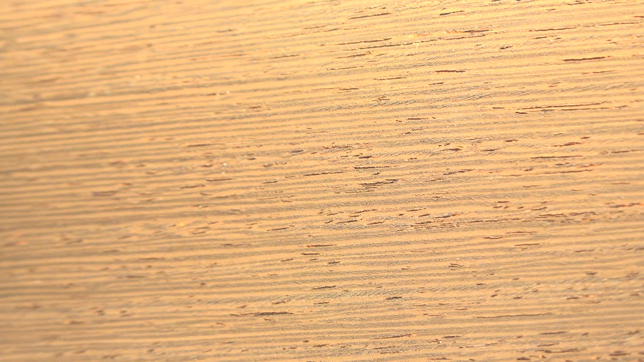 Fibrous tan surface with denser grain on the right