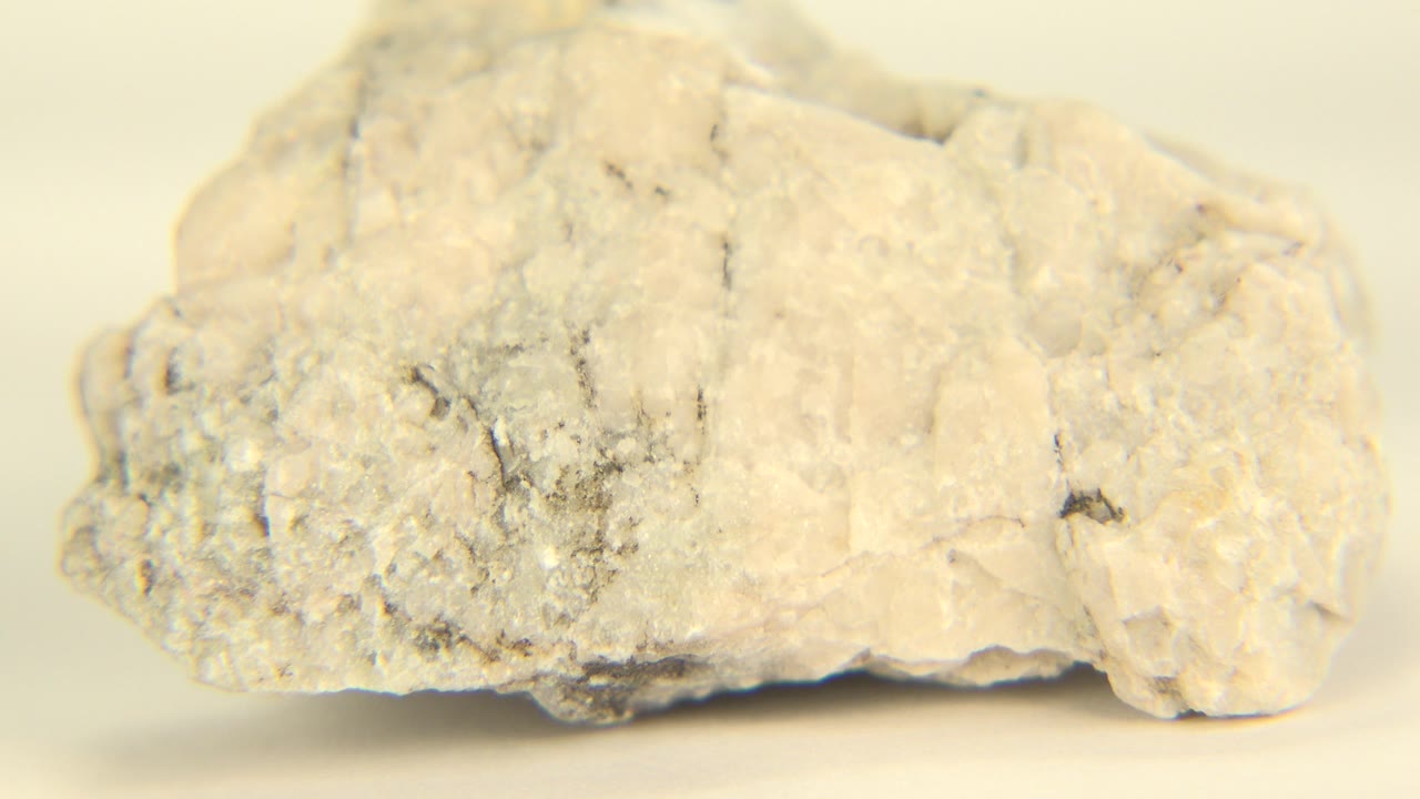 A white and gray speckled rock rests side-on on a light tabletop in Westminster, Colorado, with soft warm focus and no visible people.