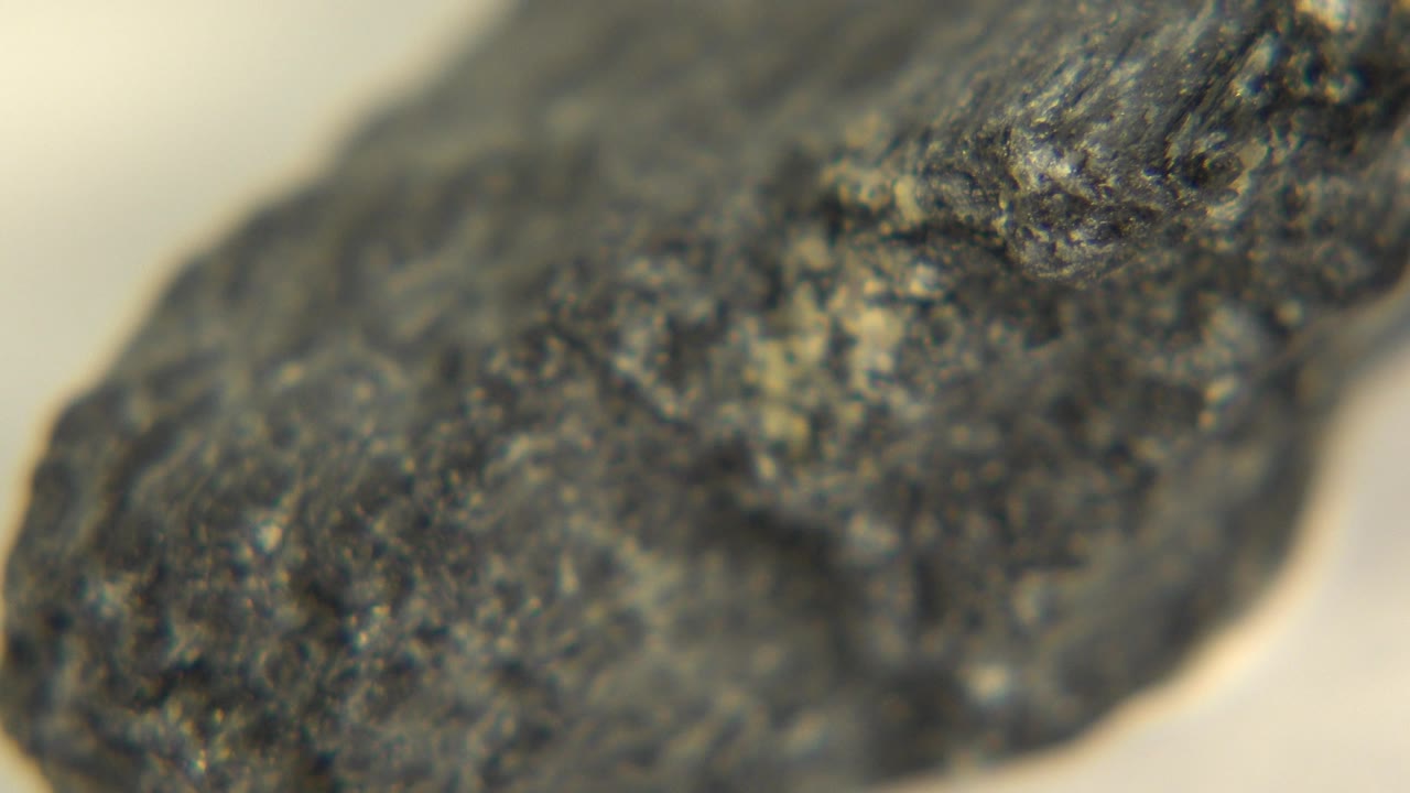 Close-up of a dark rock with pale mineral flecks