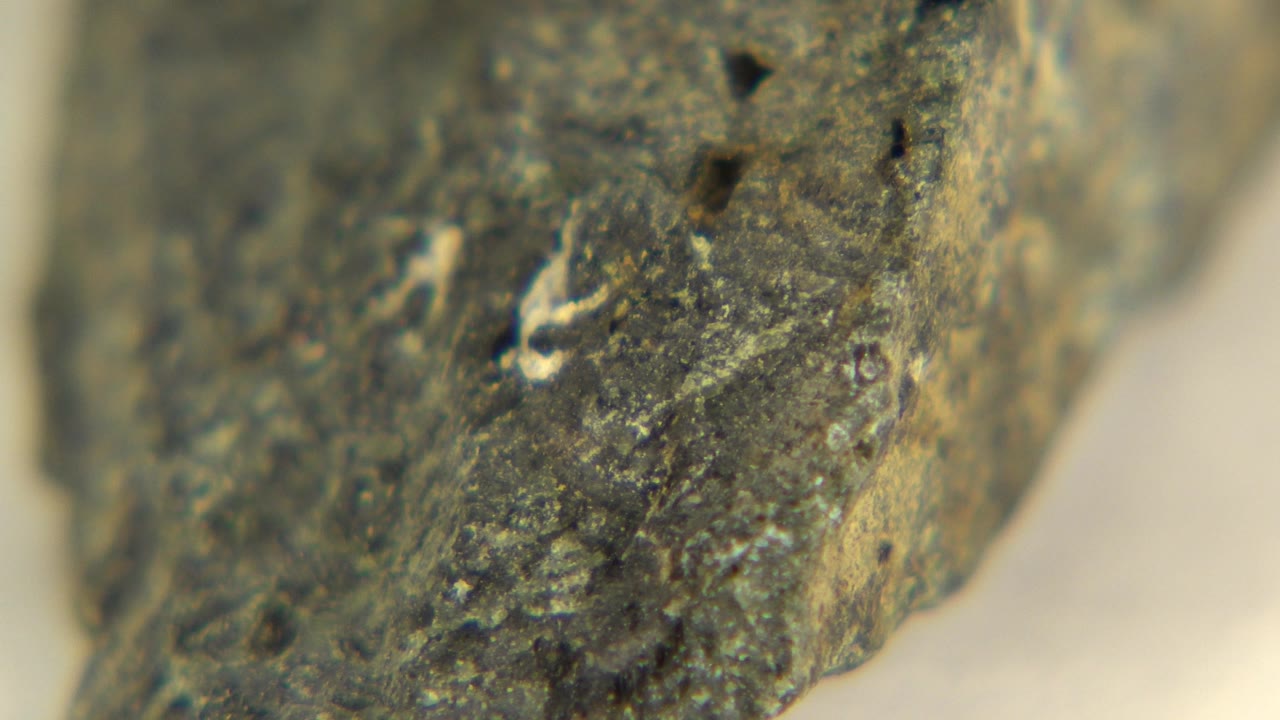 The stone surface appears closer to center in Westminster, Colorado, showing small dark pits, pale flecks, and no visible people.