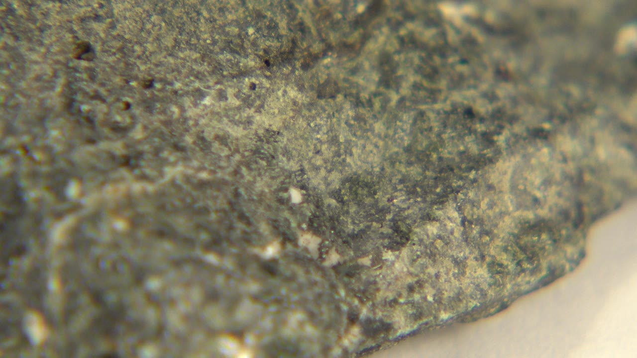Close-up of a dark green-black quartz rock edge under bright white light in Westminster, Colorado, with a pale background gap and no visible people.