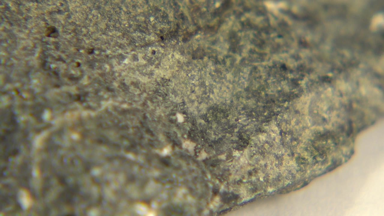 Macro view of the mottled dark quartz surface in Westminster, Colorado, with the pale background widening along the right side and no visible people.