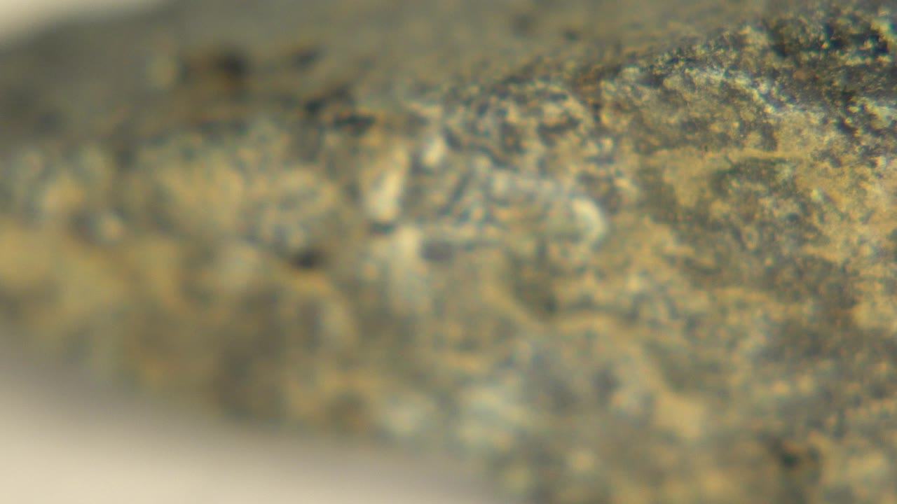 Soft close-up of a mottled rock surface on pale sand in Westminster, Colorado, with the left side blurred and no visible people.
