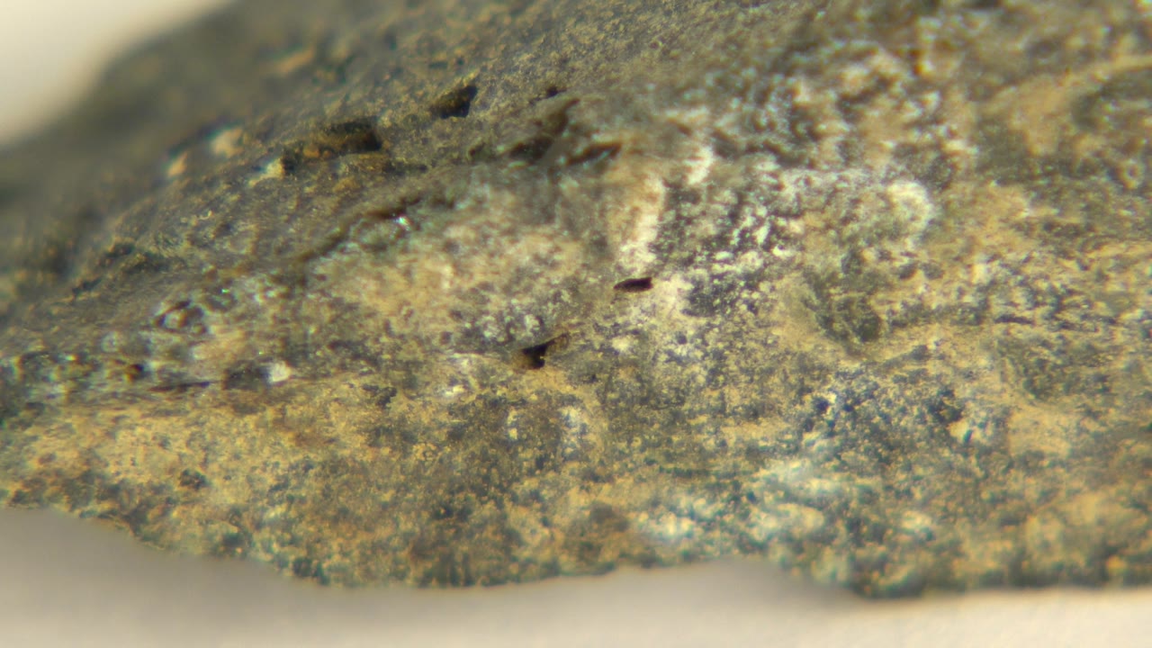 Sharper edge of a mottled rock against pale sand.