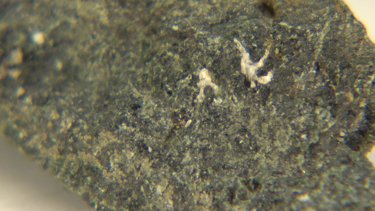 Extreme close-up of a green-gray mineral specimen in Westminster, Colorado, with rough pits, pale mineral flecks, and no visible people.