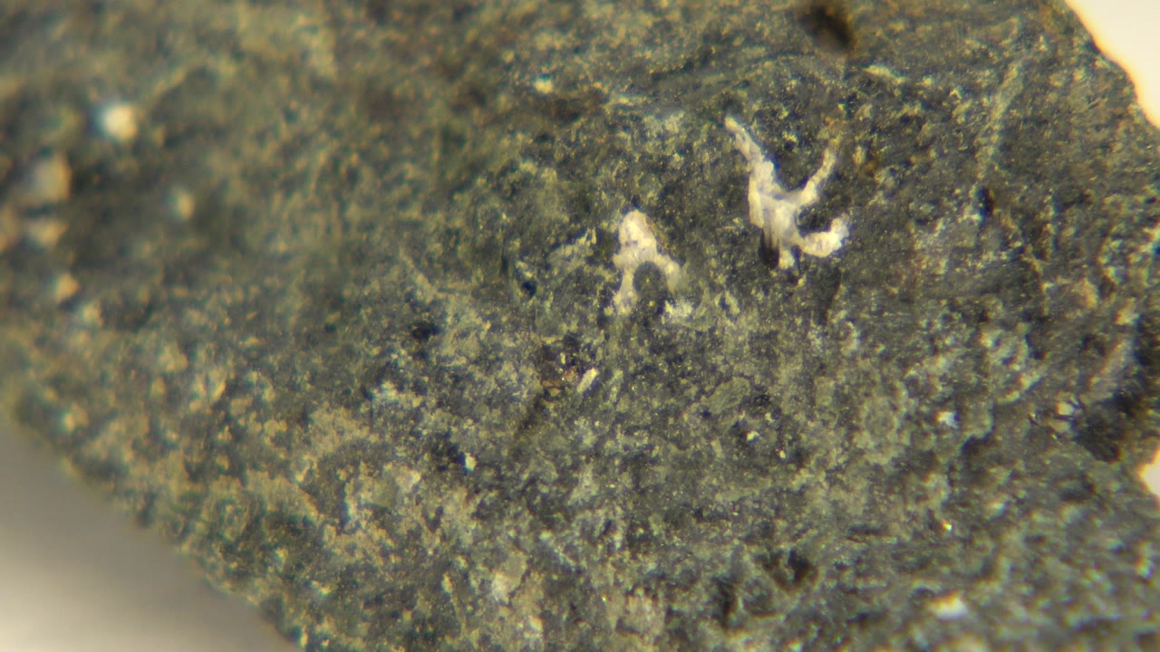 Close macro view of the mineral's uneven edge and mottled green-gray texture in Westminster, Colorado, with no visible people.